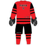 Ice Hockey - Image 2